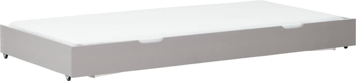 Flexa CLASSIC Ausziehbett CLASSIC Ausziehbett Flexa 404996700000 Farbe Grau Grösse B: 90.0 cm x T: 190.0 cm x H: 20.0 cm Bild Nr. 1