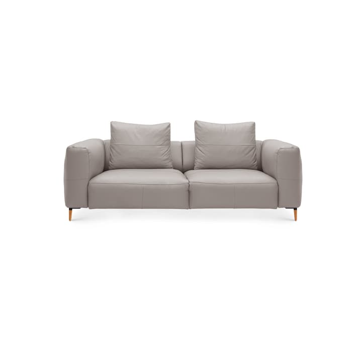 LOUIE 2.5er Sofa LOUIE 2.5er Sofa 360512725780 Grösse B: 214.0 cm x T: 100.0 cm x H: 69.0 cm Farbe Grau Bild Nr. 1