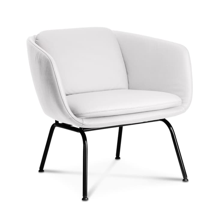 REYK Sessel REYK Sessel 360055897402 Grösse B: 74.0 cm x T: 79.0 cm x H: 70.0 cm Farbe Weiss Bild Nr. 1