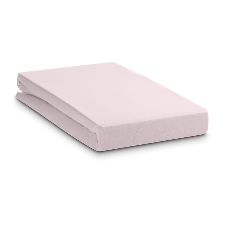 JERSEY PLUS Drap-housse JERSEY PLUS Drap-housse 376026970605 Dimensions L: 200.0 cm x L: 160.0 cm Couleur Rose Photo no. 1