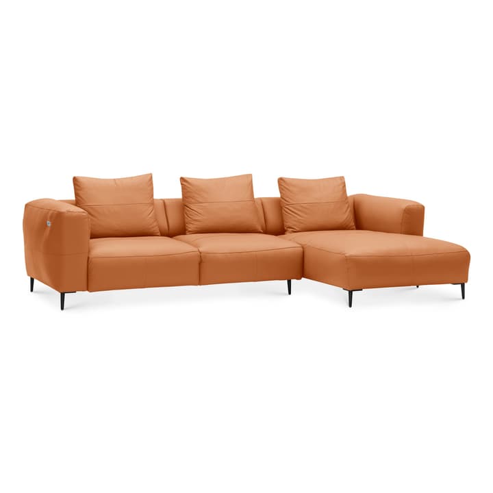 LOUIE Canapé d'angle LOUIE Canapé d'angle 360512673755 Dimensions L: 299.0 cm x P: 170.0 cm x H: 69.0 cm Couleur Cognac Photo no. 1