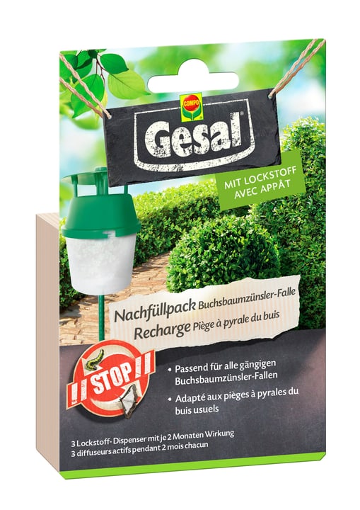 Image of Compo Gesal Buchsbaumzünsler-Falle - Nachfüllpack (3 Lockstoff-Dispenser) Insektenfalle bei Do it + Garden von Migros