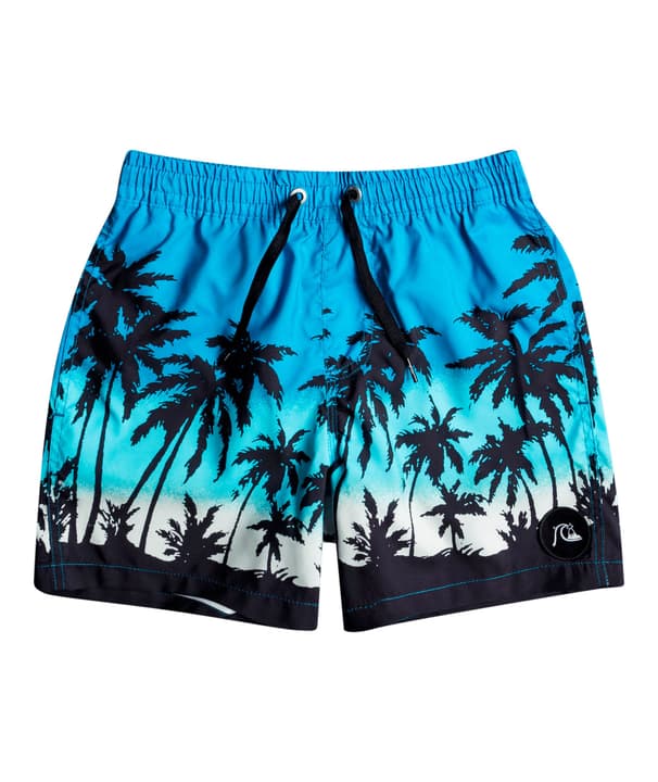 Image of Quiksilver Everyday Paradise 14' - Schwimmshorts Badeshorts blau bei Migros SportXX