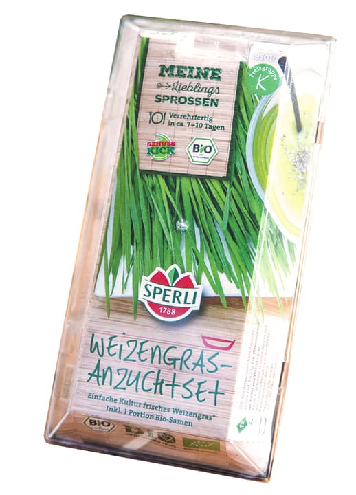 Image of Sperli Bio Weizen Starter Set Sprossen & Keimlinge bei Do it + Garden von Migros
