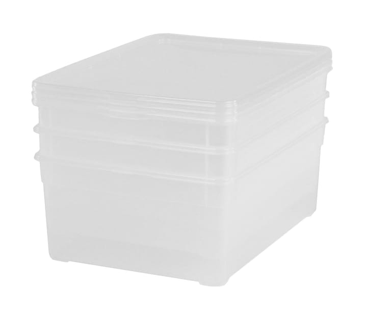 Image of Rotho Clear Men Shoe 10 l mit Deckel, 3er-Set Aufbewahrungsbox