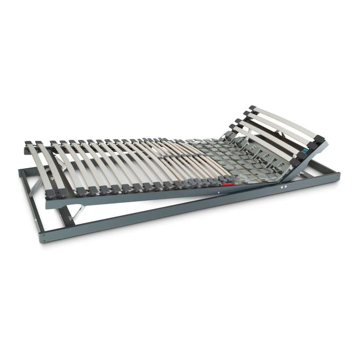 HAPPY FLEX LUXE 300 Rete a doghe FLEX LUXE 300 Rete a doghe HAPPY 364201207111 Lunghezza 210.0 cm Larghezza 80.0 cm N. figura 1
