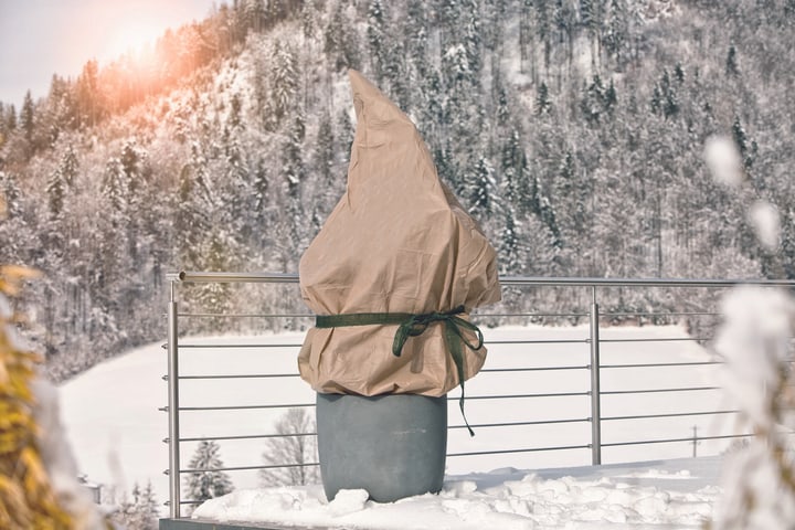 Image of Windhager PROTECT 1.5 x 5 m Wintervlies bei Do it + Garden von Migros