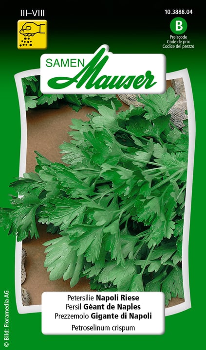 Image of Samen Mauser Petersilie Napoli Riese Kräutersamen bei Do it + Garden von Migros