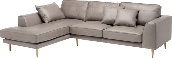 ADLER Canapé d'angle ADLER Canapé d'angle 405729650180 Couleur Gris Dimensions L: 295.0 cm x P: 202.0 cm x H: 90.0 cm Photo no. 1