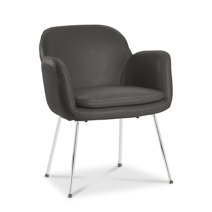 LONZO Chaise LONZO Chaise 366023580707 Dimensions L: 63.0 cm x P: 61.0 cm x H: 78.0 cm Couleur Gris foncé Photo no. 1