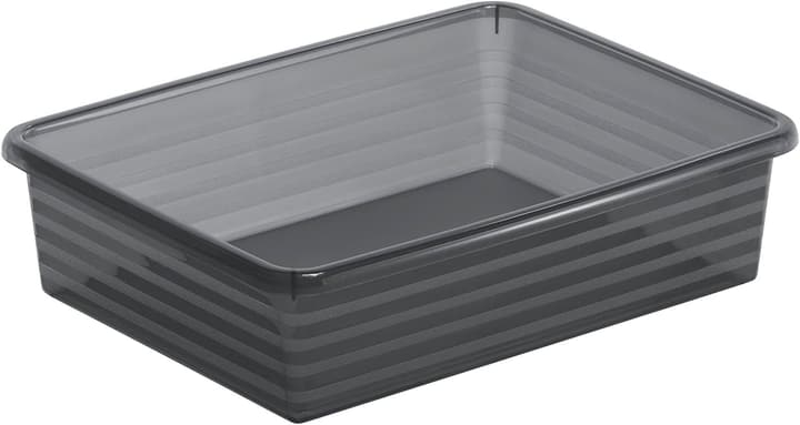 Image of Rotho Formatkörbchen A5 Linus Korb bei Do it + Garden von Migros