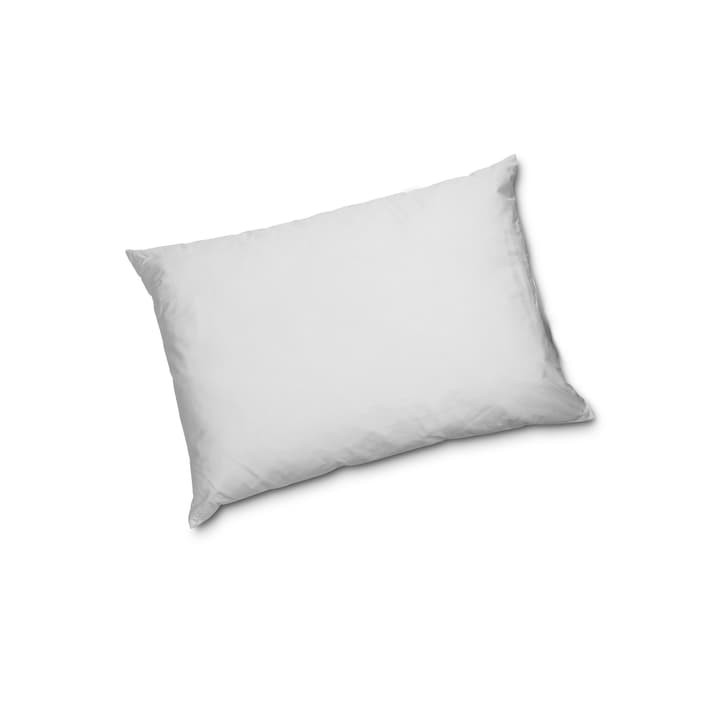 NATURE REGULAR Federnkissen NATURE REGULAR Federnkissen 376078610800 Farbe Weiss Grösse L: 50.0 cm x B: 70.0 cm Bild Nr. 1
