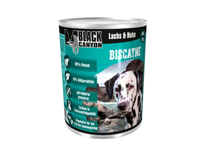 Image of Black Canyon Biscayne Adult Huhn & Lachs, 0.82 kg Nassfutter