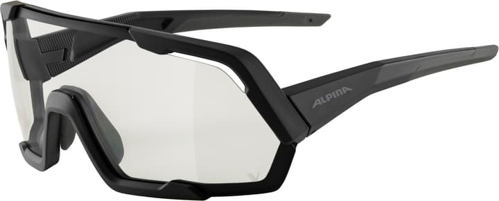 Image of Alpina Rocket V Sportbrille schwarz