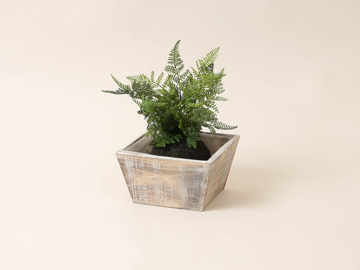 Image of I AM CREATIVE Holzkiste mit Folie Übertopf bei Do it + Garden von Migros