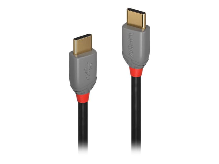 LINDY USB 2.0 Typ C Cavo, Anthra Line 1m Cavo USB 2.0 Typ C Cavo, Anthra Line 1m Cavo LINDY 785300141590 N. figura 1