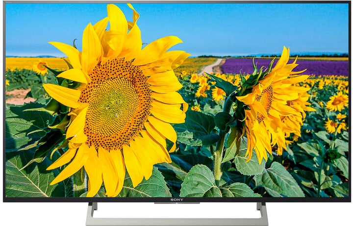 Sony KD-43XF8096 108 cm 4K Fernseher KD-43XF8096 108 cm 4K Fernseher Sony 770343800000 Bild Nr. 1