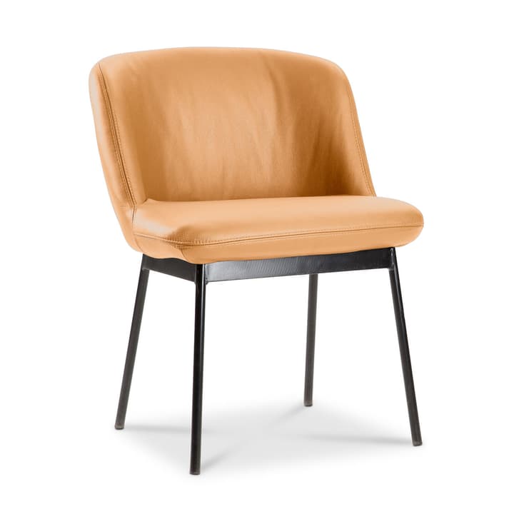 UNICO Sedia UNICO Sedia 366023477606 Dimensioni L: 55.0 cm x P: 58.0 cm x A: 74.0 cm Colore Marrone chiaro N. figura 1