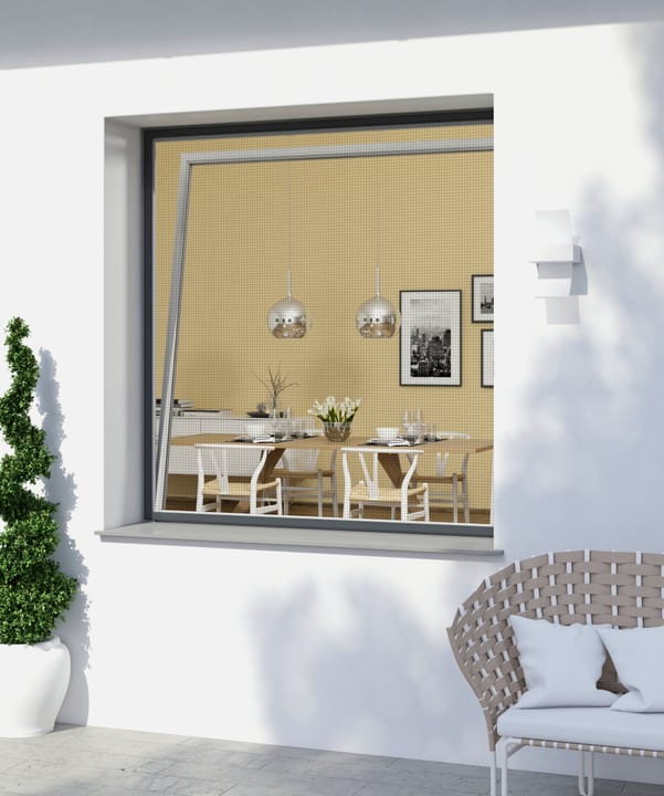Image of Windhager Fensterrahmen EXPERT Insektenschutz