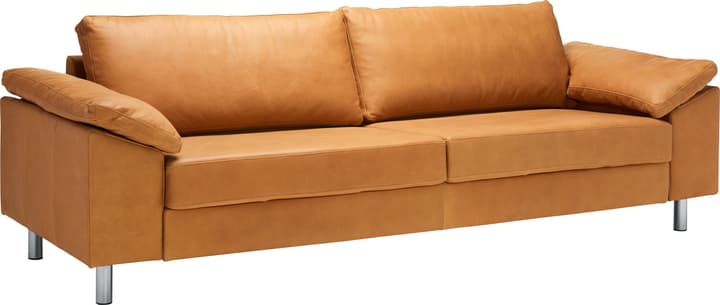 DIENER Canapé 3 places DIENER Canapé 3 places 405729100000 Dimensions L: 241.0 cm x P: 92.0 cm x H: 81.0 cm Couleur Cognac Photo no. 1