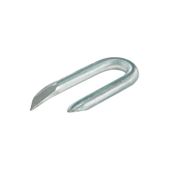 Image of suki Agraffen 3.1x31mm