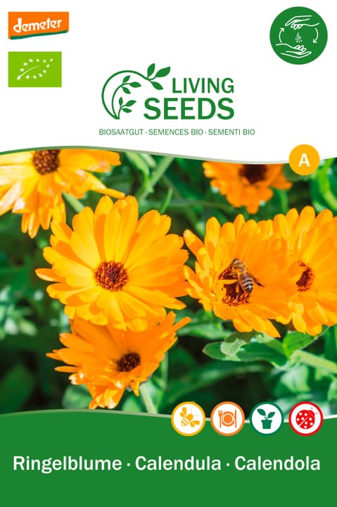 Image of Living Seeds Ringelblume Blumensamen
