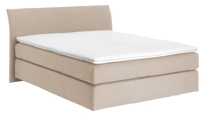 NAVIER Lit Boxspring NAVIER Lit Boxspring 403482000000 Couleur Écru Dimensions L: 160.0 cm x P: 200.0 cm Photo no. 1