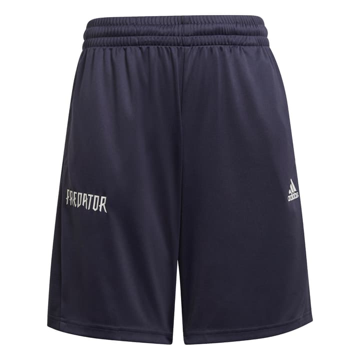 Image of Adidas Predator Shorts Fussballshorts anthrazit bei Migros SportXX
