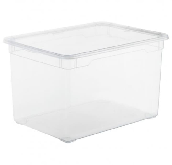 Image of Rotho Clearbox Maxi 46 l Aufbewahrungsbox bei Do it + Garden von Migros