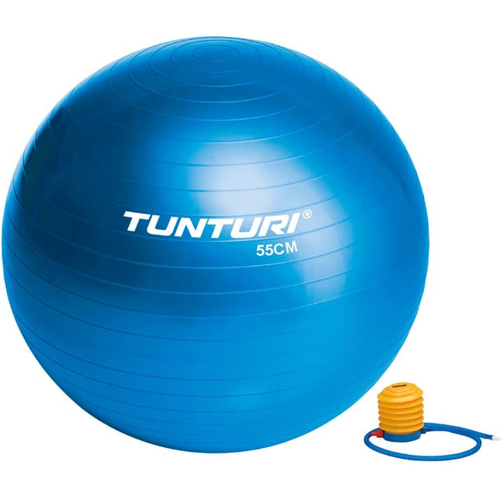 Image of Tunturi Gymnastikball D55cm blau Gymnastikball bei Migros SportXX