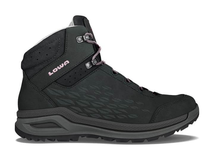 Lowa Strato Evo LL Qc Chaussures de randonnée pour femme Strato Evo LL Qc Chaussures de randonnée pour femme Lowa 473305942020 Couleur noir Taille 42 Photo no. 1