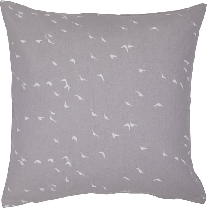PAJARO Coussin décoratif PAJARO Coussin décoratif 450749640880 Couleur Gris Dimensions L: 45.0 cm x H: 45.0 cm Photo no. 1