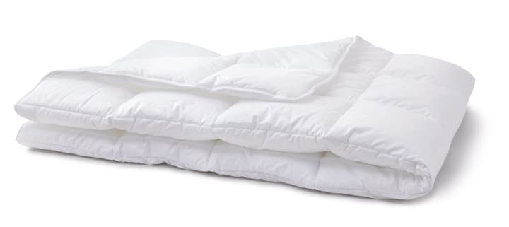 FIBRALUX medium warm Couette ultradouce pour toute l’année en fibres synthétiques FIBRALUX medium warm Couette ultradouce pour toute l’année en fibres synthétiques 451744712710 Couleur Blanc Dimensions L: 240.0 cm x P: 240.0 cm Photo no. 1