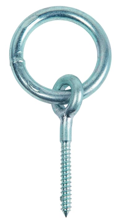 Image of Meister Krippring verzinkt Ringe