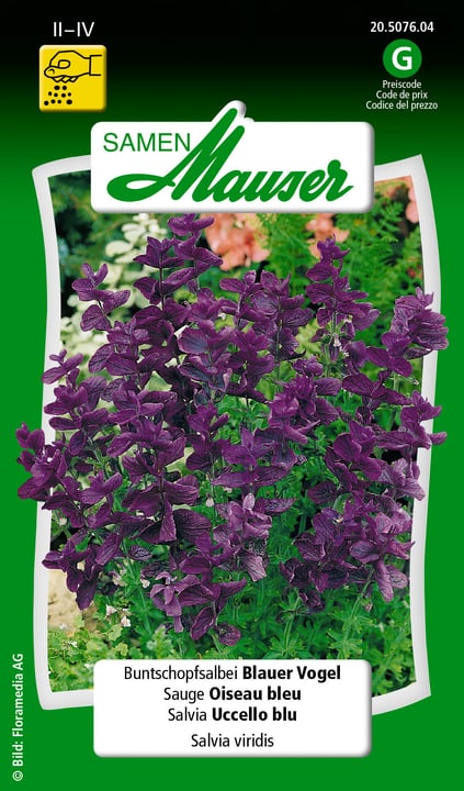 Image of Samen Mauser Buntschopfsalbei Blauer Vogel Blumensamen