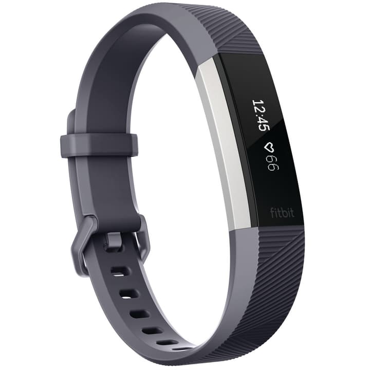 Fitbit Alta HR Gris Large Alta HR Gris Large Fitbit 785300131095 Photo no. 1