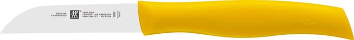 Gemüsemesser TWIN
