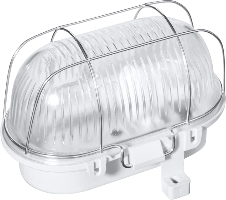 Image of Steffen Iso Leuchte oval Arbeitslampe bei Do it + Garden von Migros