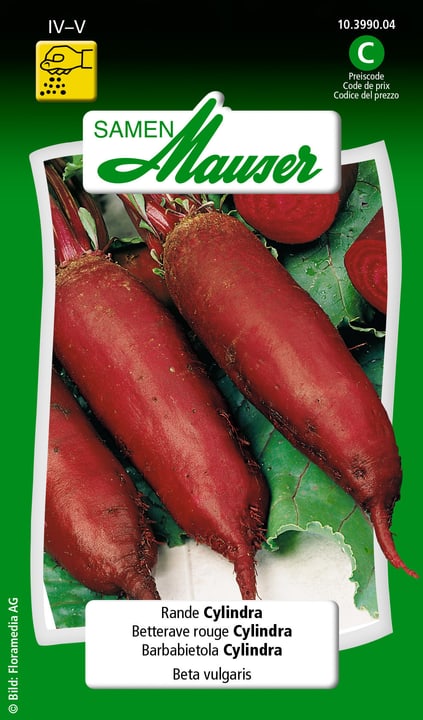 Image of Samen Mauser Rande Cylindra Gemüsesamen bei Do it + Garden von Migros