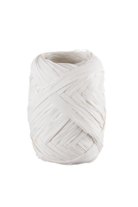 RAPHIA Ruban pour cadeau RAPHIA Ruban pour cadeau 440616002010 Couleur Blanc Dimensions L: 5.0 mm Photo no. 1