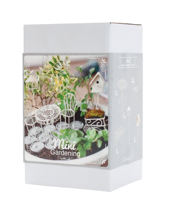 Image of I AM CREATIVE Romantic Box Mini Gardening bei Do it + Garden von Migros