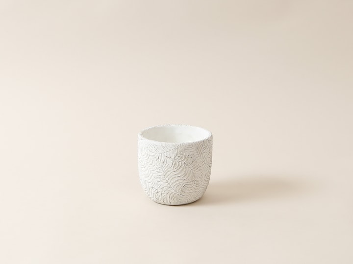 Image of I AM CREATIVE Jungle Übertopf bei Do it + Garden von Migros