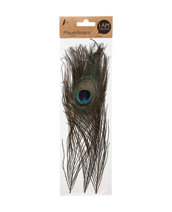 Image of Pfauenfedern 30 cm bei Do it + Garden von Migros