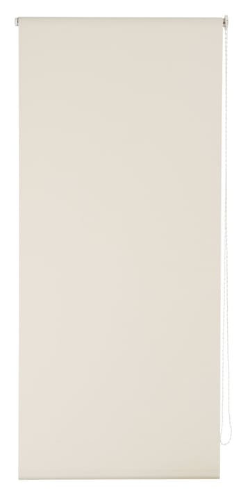 POLAR Rollo POLAR Rollo 430745206274 Farbe Beige Grösse B: 62.0 cm x H: 185.0 cm Bild Nr. 1