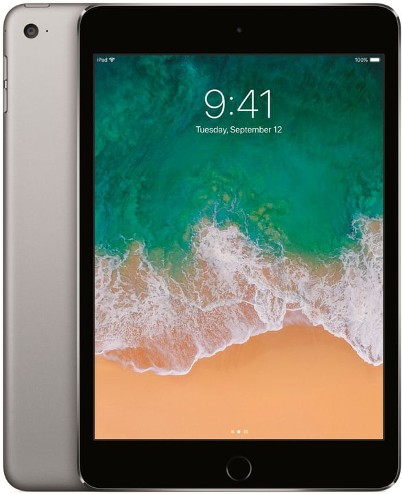 Apple iPad mini 4 WiFi 128GB spacegray iPad mini 4 WiFi 128GB spacegray Apple 797876500000 Photo no. 1
