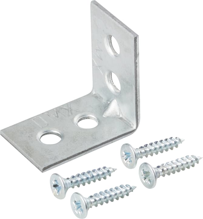 Image of Verstärkungswinkel mit Schraube verzinkt Winkel bei Do it + Garden von Migros