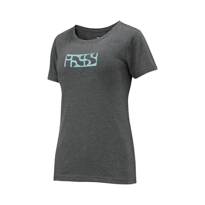 Image of iXS Brand Tee T-Shirt anthrazit