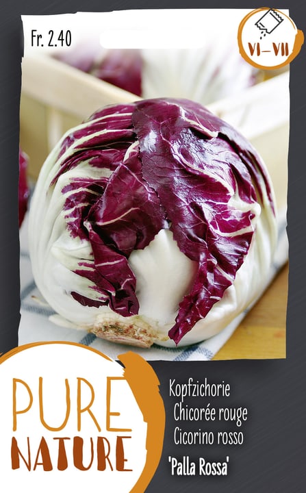 Image of Kopfzichorie 'Palla Rossa' 5g Gemüsesamen bei Do it + Garden von Migros