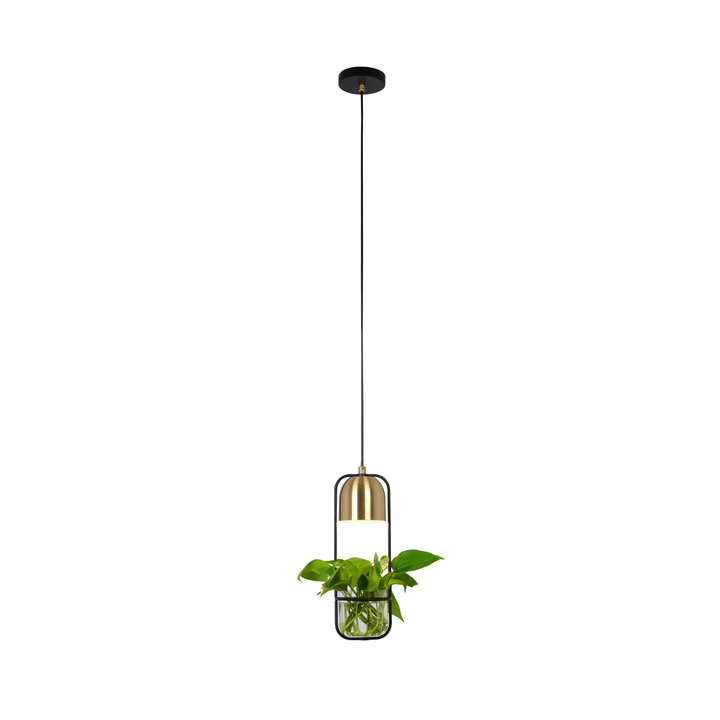 PLANT Suspension PLANT Suspension 380122000000 Photo no. 1