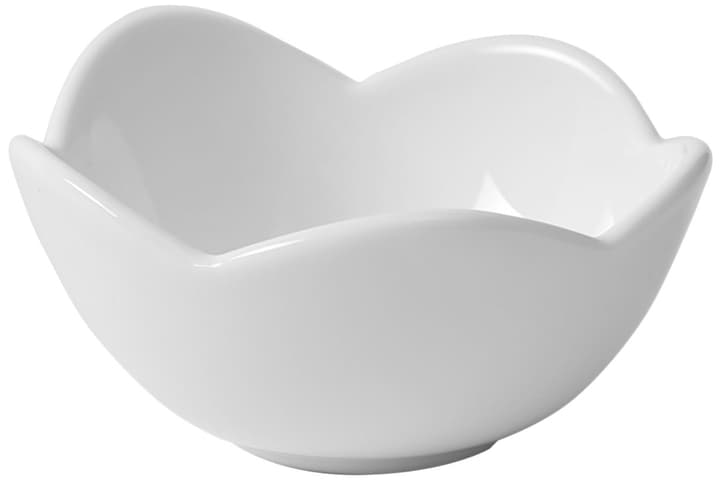 Image of Schale, Blumenfo Ws., 8 x 4 cm bei Do it + Garden von Migros